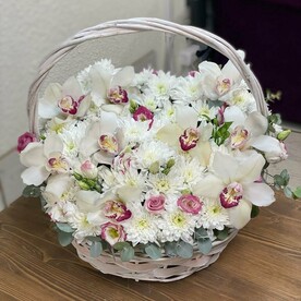 Белоснежка