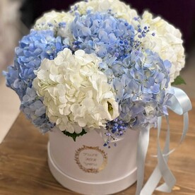 Чистые помыслы