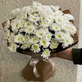 Хризантема в цвету