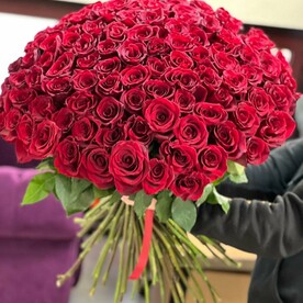 101 повод для любви