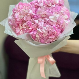 Розовая Гортензия