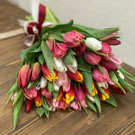 Микс Тюльпан