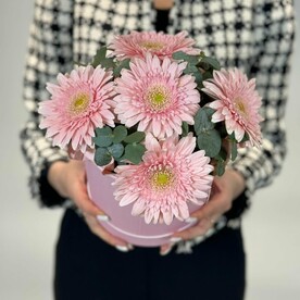 Композиция из 5 розовых гербер