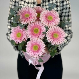 Композиция из 7 розовых гербер