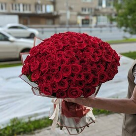 101 Алая Роза