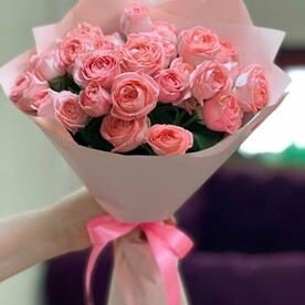 Коралл Дрим