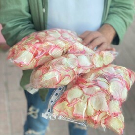 Лепестки Роз