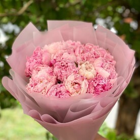 Розовые Пионы