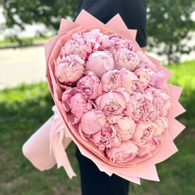Букет из 25 розовых Пионов
