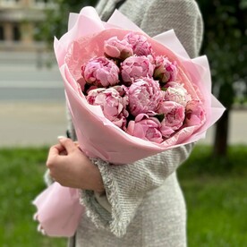 11 нежных пионов