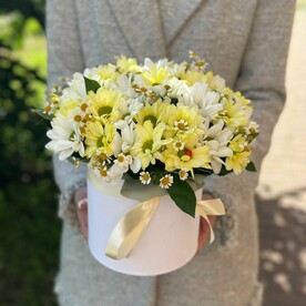 Ромашковое поле