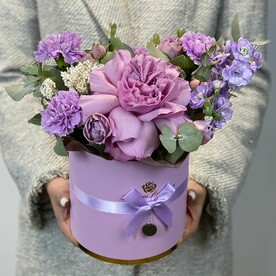 Лавандовые сны