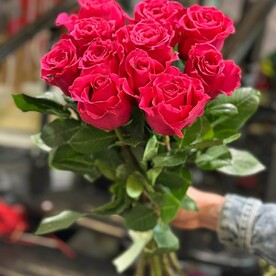 11 ярких роз