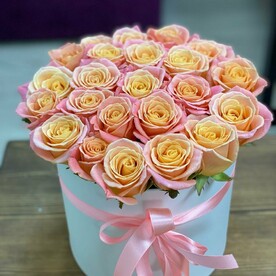 23 розы в коробке