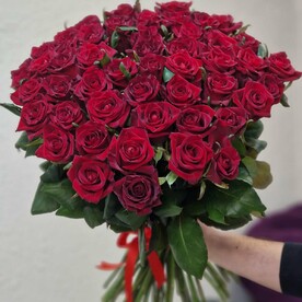 51 красная роза Эквадор