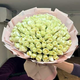 101 белая роза