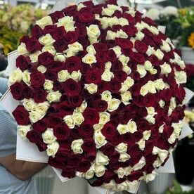 351 белая и красная роза