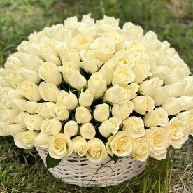 101 белая роза в корзине