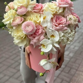 Мечты о лете