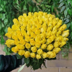 101 желтая роза