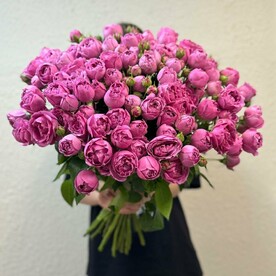 Вне времени