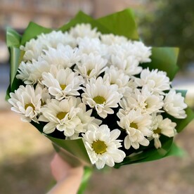 7 кустовых хризантем