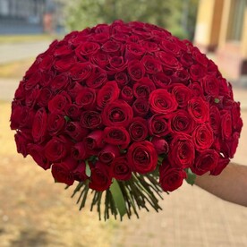 151 красная роза