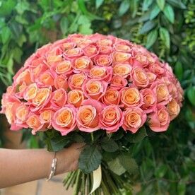 101 Мисс Пигги