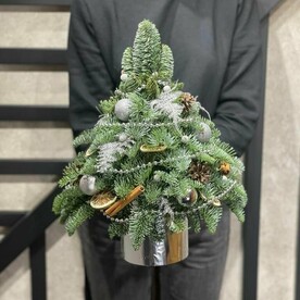 Новогодняя елочка