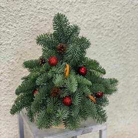 Маленькая елочка