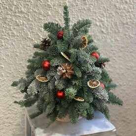 Новогодняя сказка