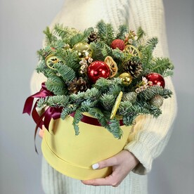 Новогоднее сокровище