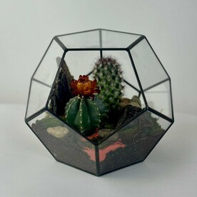 Флорариум "Сахара"