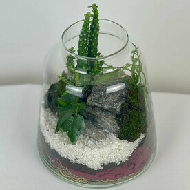 Флорариум из суккулента