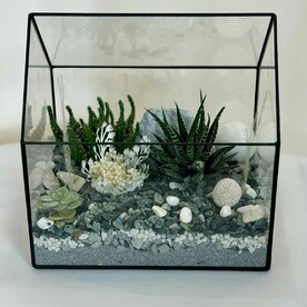 Флорариум "Тропик"