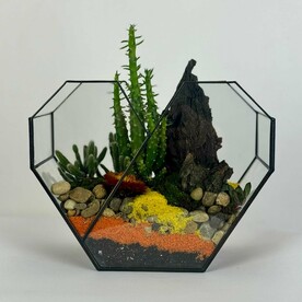 Флорариум "Сердце пустыни"