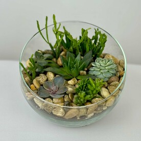 Флорариум "Микс суккулентов"