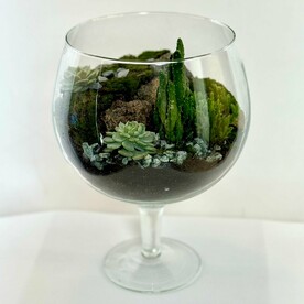 Флорариум "Остров"