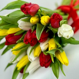 25 тюльпанов