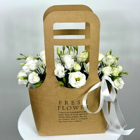 Белоснежная элегия