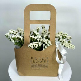 Лунный свет