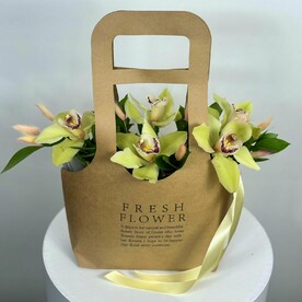 Лесная гармония