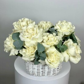 Белый принц