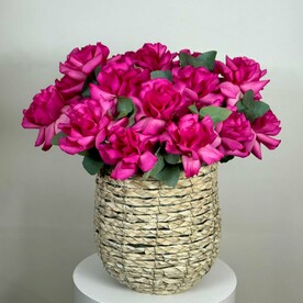 Малиновый сад