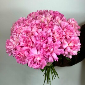 25 французских роз