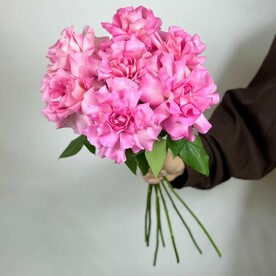 7 розовых французских роз