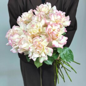 11 нежно-розовых французских роз