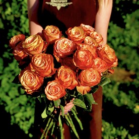 Роза пионовидная одноголовая