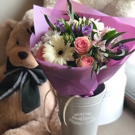 БЕЛАЯ ГЕРБЕРА