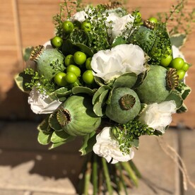 ЗЕЛЕНЫЙ ШУМ